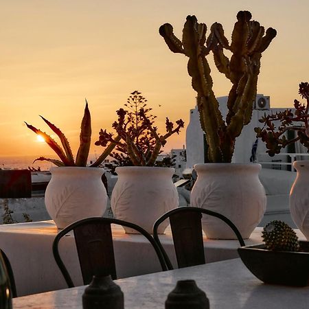 Elaia Luxury Suites Mykonos Mykonos Town Екстериор снимка